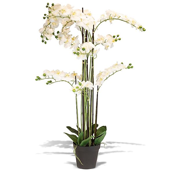 Künstliche Orchidee weiß 140 cm günstig online kaufen