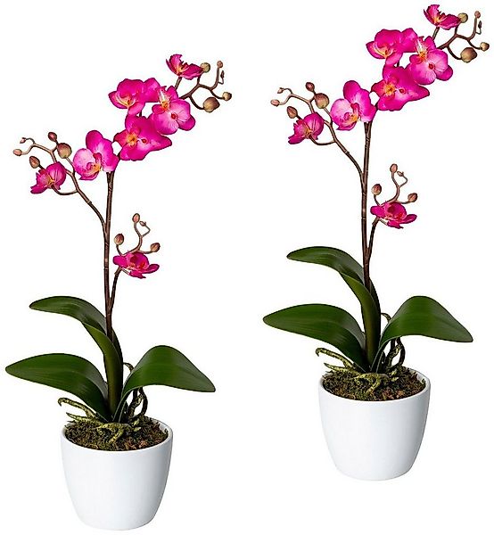 Kunstpflanze Orchidee Phalaenopsis Orchidee, Creativ green, Höhe 55 cm, im günstig online kaufen