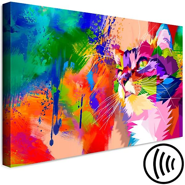 Wandbild Colourful Cat (1 Part) Wide XXL günstig online kaufen