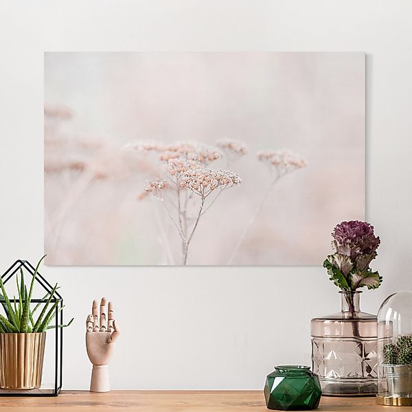 Leinwandbild Zartrosane Wildblumen günstig online kaufen