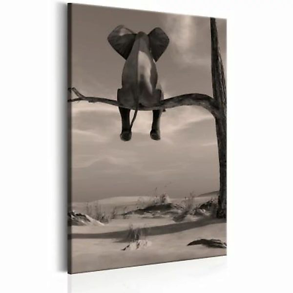 artgeist Wandbild Elephant in the Desert braun-kombi Gr. 40 x 60 günstig online kaufen