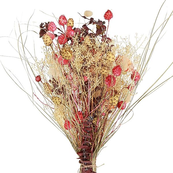 Trockenblume Trockenblumenstrauß Boho-Deko Erdbeerdistel & Flockenblume günstig online kaufen