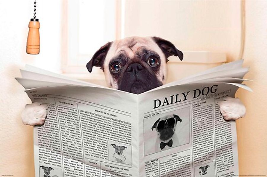 Papermoon Fototapete »Newspaper Dog« günstig online kaufen