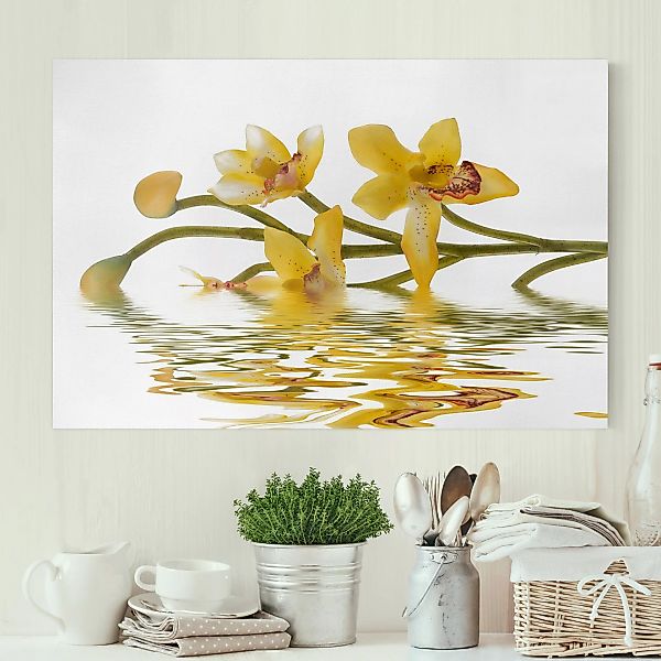 Leinwandbild - Querformat Saffron Orchid Waters günstig online kaufen