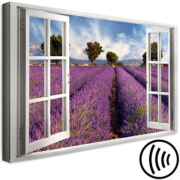 Bild auf Leinwand Lavender Field (1 Part) Wide XXL günstig online kaufen