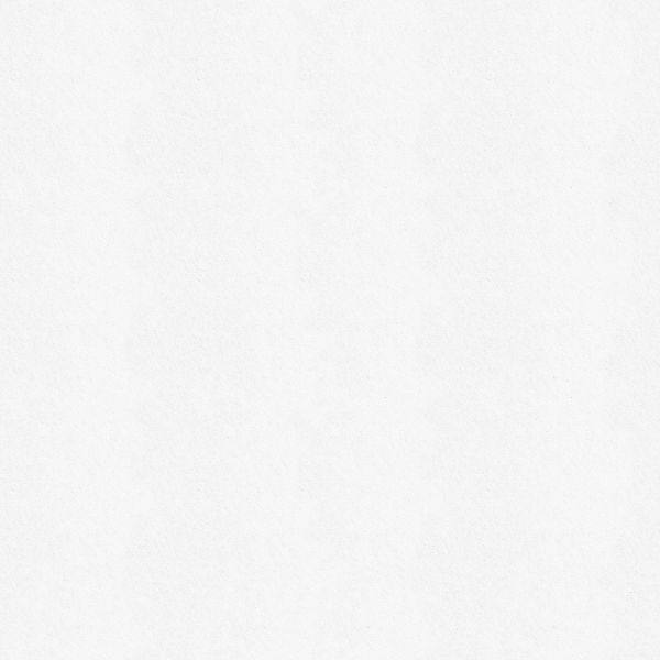 Wall Doctor Isoliertapete "Wall Doctor Renovliestapete Weiss 10mx1m (150g/m günstig online kaufen