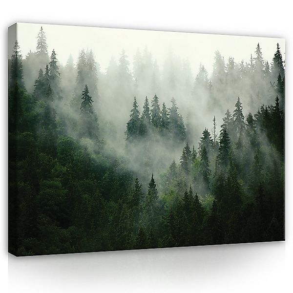 Wallarena Leinwandbild Wald im Nebel Grün günstig online kaufen