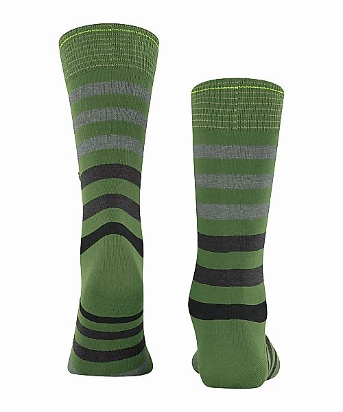 Burlington Blackpool Herren Socken, 40-46, Grün, Streifen, Baumwolle, 21023 günstig online kaufen