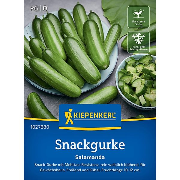 Kiepenkerl Salatgurke Salamanda F1 günstig online kaufen