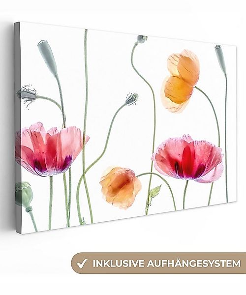 OneMillionCanvasses® Leinwandbild Mohn - Blumen - Frühling - Weiß, Fotodruc günstig online kaufen