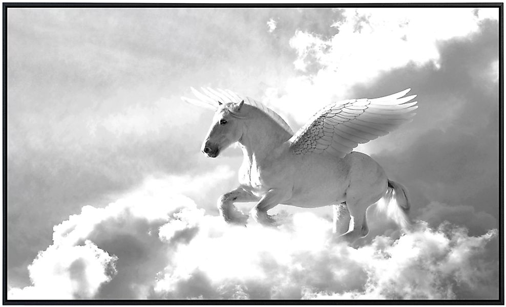 Papermoon Infrarotheizung »Pegasus Schwarz & Weiß«, sehr angenehme Strahlun günstig online kaufen