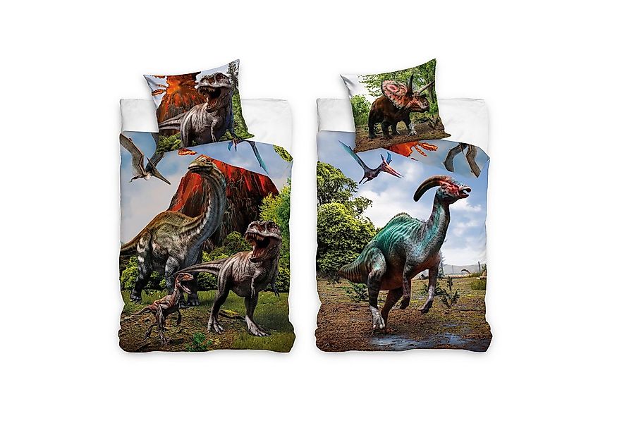 Familando Kinderbettwäsche "Urzeit" mit Vulkan & Dinos 135x200 + 80x80 cm a günstig online kaufen