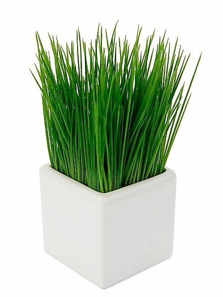 Kunstpflanze Gras Gras, I.GE.A., Höhe 22 cm günstig online kaufen