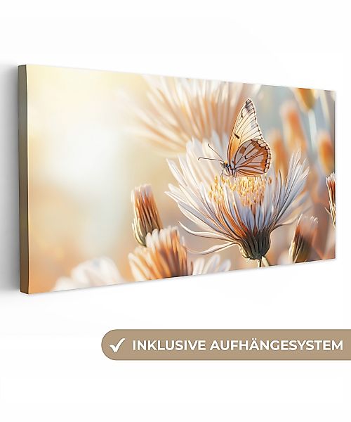 OneMillionCanvasses® Leinwandbild Panorama Schmetterling - Blume günstig online kaufen