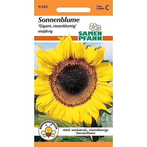SAMEN PFANN Sonnenblume Gigant günstig online kaufen