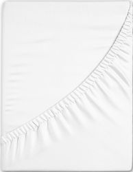hip Spannbettlaken "Hip in Gr. 90x200, 140x200 oder 180x200 cm" 100% Baumwo günstig online kaufen