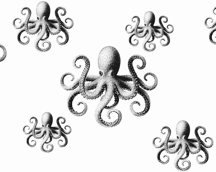 Fototapete "Octopusse grau" 6,00x2,50 m / Glattvlies Perlmutt günstig online kaufen