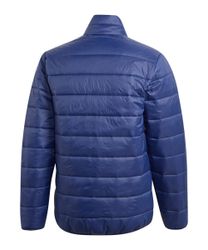 adidas Performance Trainingsjacke adidas Performance Padded günstig online kaufen