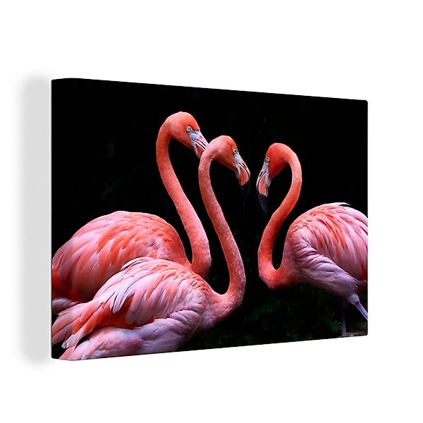 OneMillionCanvasses® Leinwandbild Drei rosa Flamingos auf günstig online kaufen