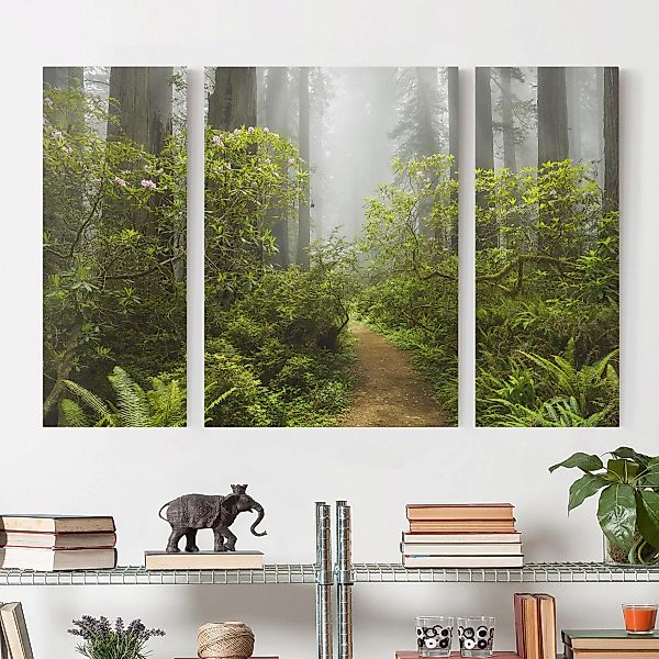 3-teiliges Leinwandbild Wald - Querformat Nebliger Waldpfad günstig online kaufen