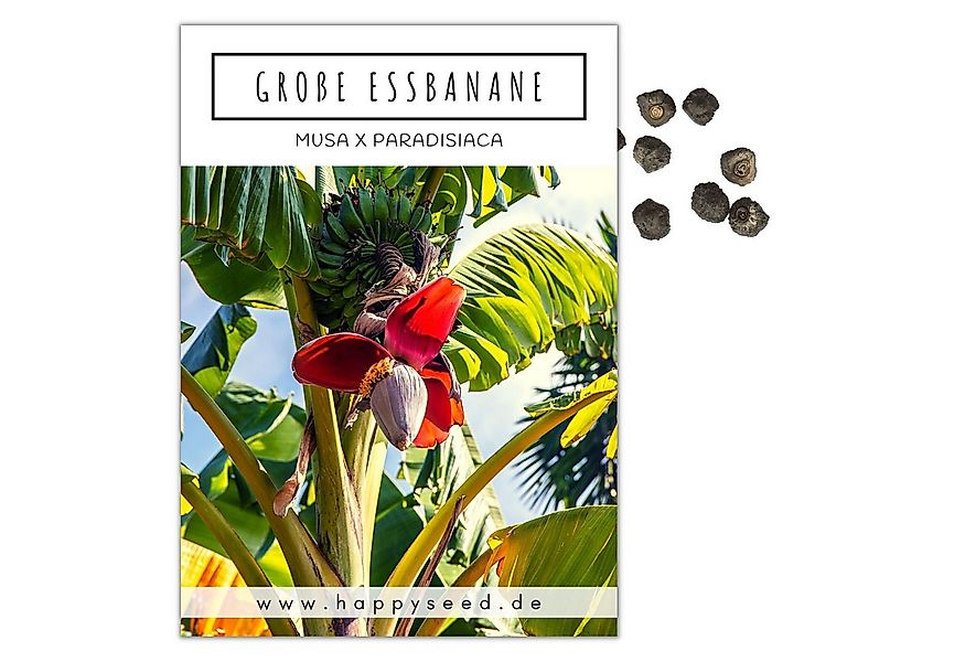 HappySeed Blumensamen Große Essbanane Samen (Musa x paradisiaca) - Exotisch günstig online kaufen