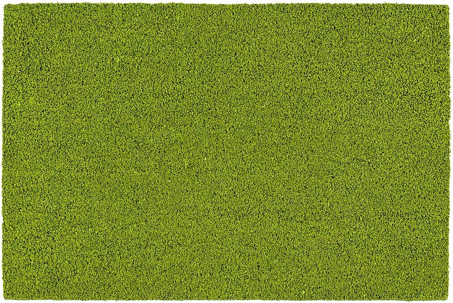 ASTRA Fußmatte "Coco Color Trend" rechteckig 15 mm Höhe Kokos Türmatte, Aus günstig online kaufen