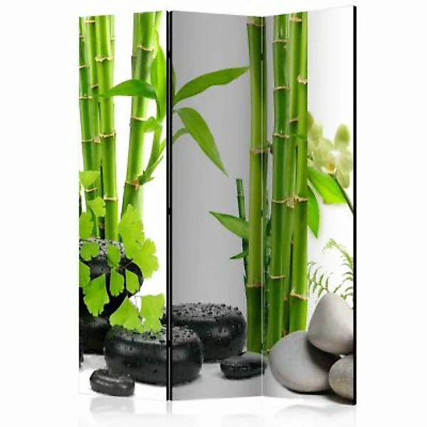 artgeist Paravent Bamboos and Stones [Room Dividers] mehrfarbig Gr. 135 x 1 günstig online kaufen