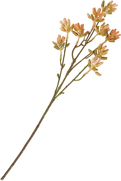 Kunstblume Sukkulenten Zweig, DPI, L 25 günstig online kaufen
