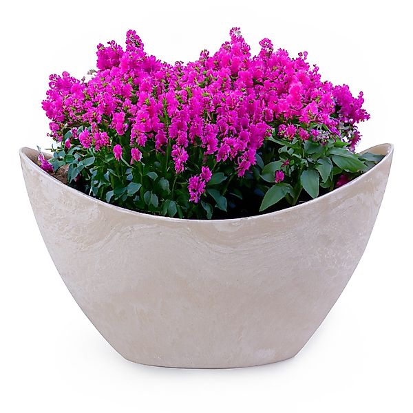 matches21 HOME & HOBBY Blumentopf Hohe günstig online kaufen