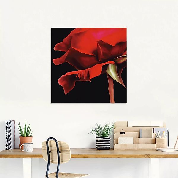 Artland Glasbild »Rote Rose«, Blumen, (1 St.), in verschiedenen Größen günstig online kaufen