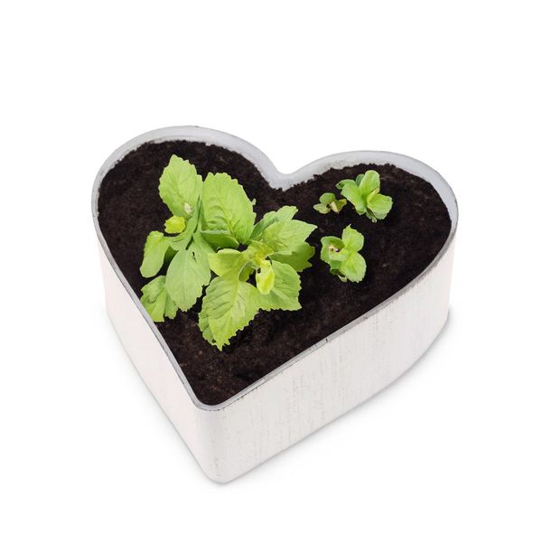 matches21 HOME & HOBBY Blumentopf Herz günstig online kaufen