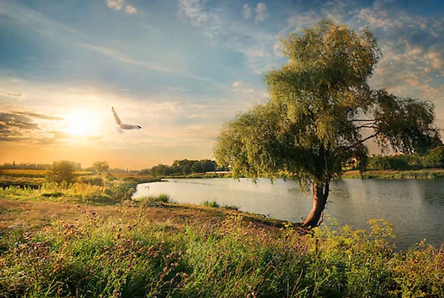 Papermoon Fototapete »Fluss in Landschaft« günstig online kaufen