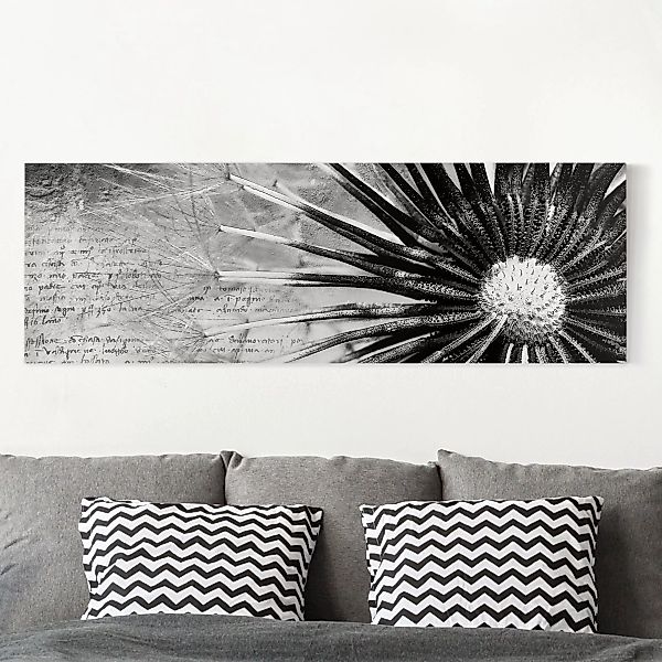 Leinwandbild Blumen - Panorama Pusteblume Schwarz & Weiß günstig online kaufen