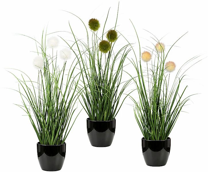 Leonique Kunstgras "Grasbusch mit Kletten", Kunstpflanze, Gras, im Topf, 3e günstig online kaufen