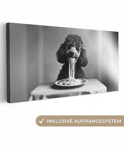 OneMillionCanvasses® Leinwandbild Panorama Pudel - Hund günstig online kaufen