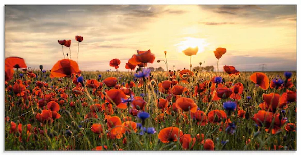 Artland Glasbild »Mohnblumen« 1 Stk. tlg. in verschiedenen Größen günstig online kaufen