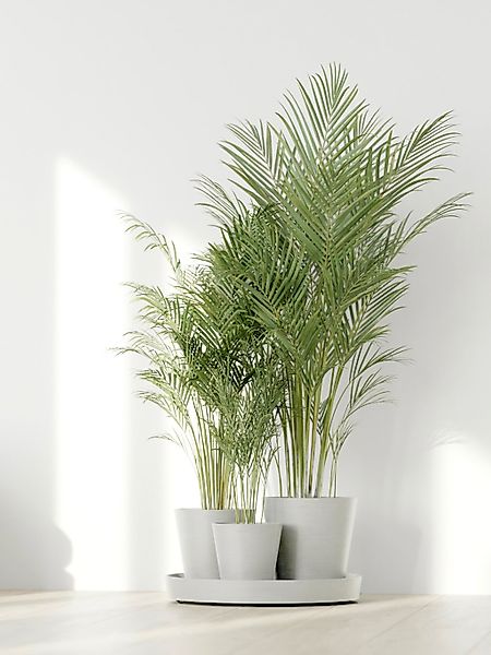 ECOPOTS Blumentopf "Dubai Weiß", für innen und außen: frostsicher, bruchsic günstig online kaufen