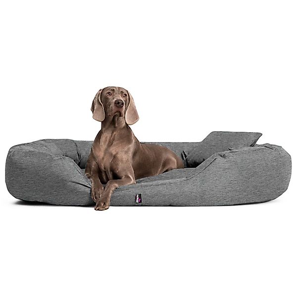 tierlando® Tierbett Orthopädisches Hundebett SAMMY, Robuster günstig online kaufen
