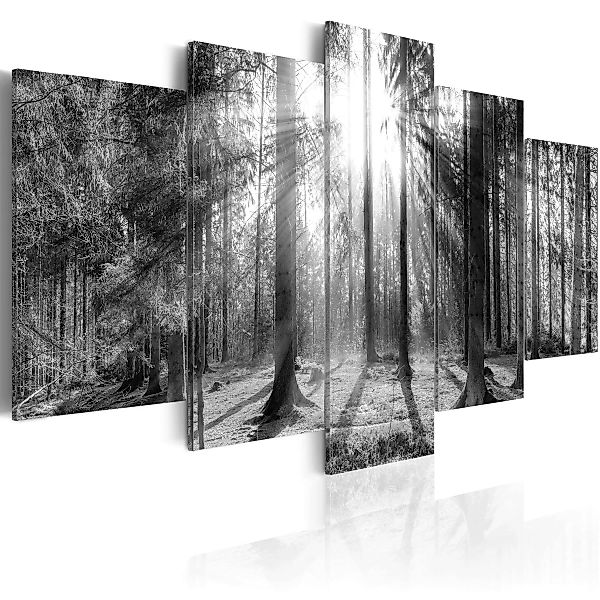 Wandbild - Forest of Memories günstig online kaufen
