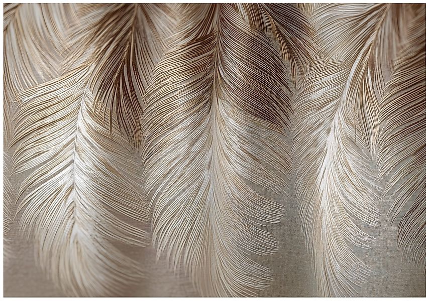 Wallarena Fototapete Federn Weiß Beige Vlies günstig online kaufen
