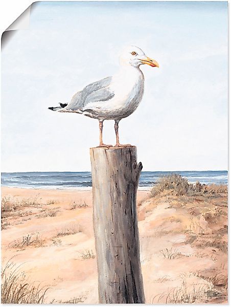 Artland "Möwe" Vögel 1 Stk. tlg. als Alubild, Leinwandbild, Poster in versc günstig online kaufen