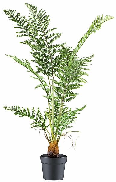 Creativ green Kunstpflanze "Pteris Tremula Farn", mit naturgetreuen Farnwed günstig online kaufen