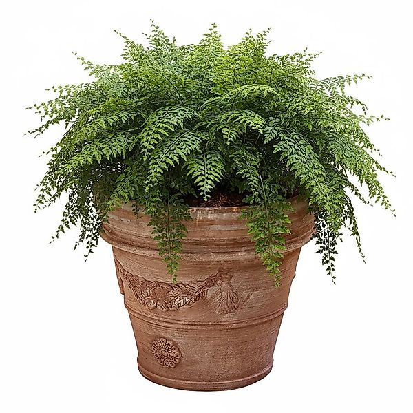 Teramico Pflanzkübel Pflanzgefäß Terrakotta Modell "Doppio günstig online kaufen