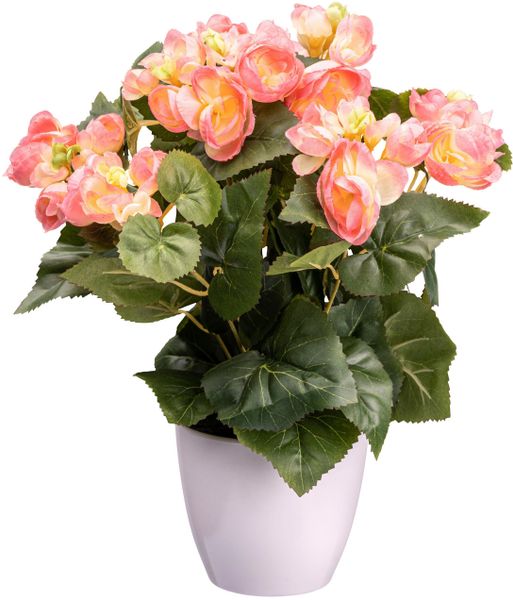 Kunstblume Begonienbusch Begonie, Creativ green, Höhe günstig online kaufen