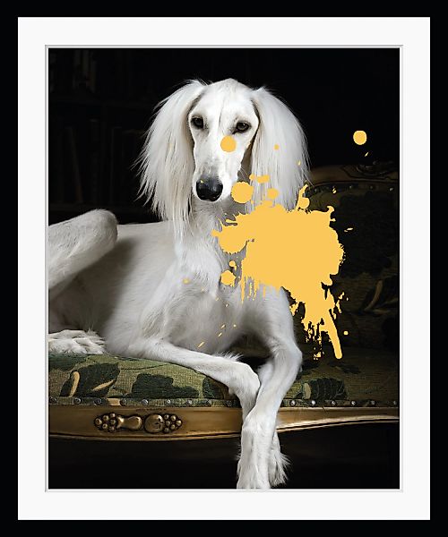 queence Bild "1.0", Hunde, gerahmt, Hund, Pudel, Farbklecks günstig online kaufen