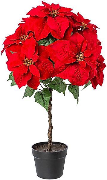 Winterliche Kunstpflanze Weihnachtsdeko Weihnachtsstern, Creativ deco, günstig online kaufen