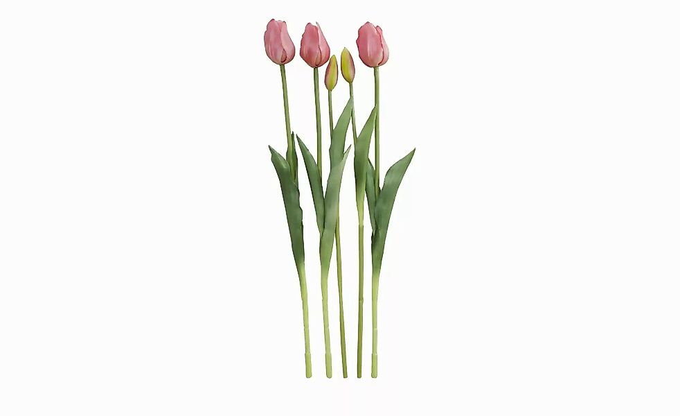 Französischer Tulpenbund   ¦ rosa/pink ¦ Polypropylen,Kunststoff ¦ Maße (cm günstig online kaufen