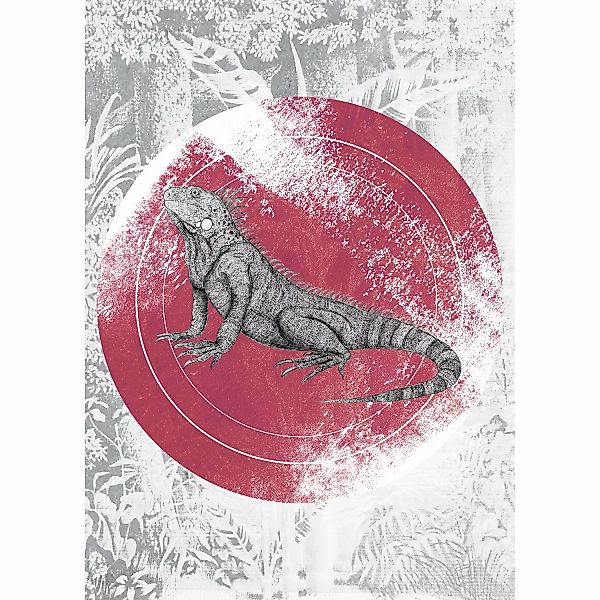 Komar Wandbild Iguana Circle 50 x 70 cm günstig online kaufen