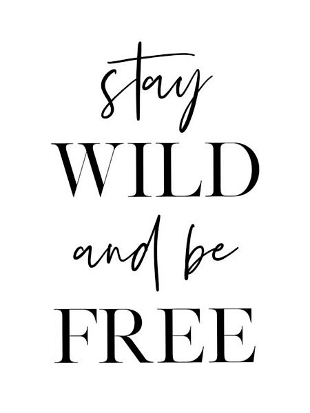 Poster / Leinwandbild - Stay Wild And Be Free günstig online kaufen