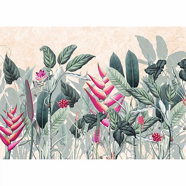 Komar Vliestapete Soft Jungle 350 cm x 250 cm Grün günstig online kaufen